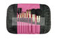 De Make-upborstel van de luxe Fundamentele Minireis die met Magnetische Zak wordt geplaatst