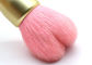 Het leuke Roze Poeder van de Hartvorm/bloost Make-upborstel met het Haar van de Aardgeit