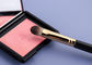 Uitrusting van de de Make-upborstel van OBM de Uiteindelijke Pro22pcs Synthetische Hoofd