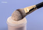 Uitrusting van de de Make-upborstel van OBM de Uiteindelijke Pro22pcs Synthetische Hoofd
